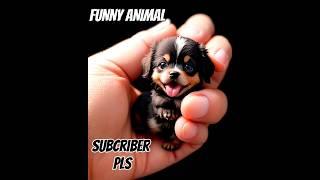 #funny#shorts #amazinganimals #animals #animalloversunite #cuteanimalclips #funnyanimalvideos