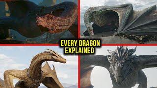 Every Dragon Explained | House of the Dragon