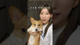 먹는 클레이가 있다고?!코코 만들어 먹기