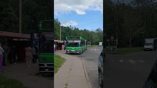 МАЗ-105Респект Роме!#maz #automobile #liaz