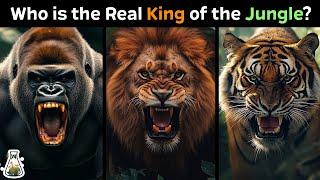 Who Should be the Real King of the Jungle?