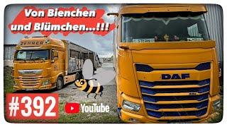 Bienchen und Blümchen...!!! ( Vorschrift )Erst rein dann raus....!!! LKW Truck Doku #392