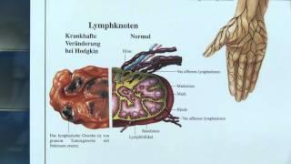 Haus der Schönheit: Dr. Jörg Dabernig zum Thema Lymphdrainage