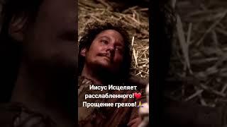 Иисус исцеляет расслабленного! Прощение грехов! ️ #Библия #исцеление #прощение #грехи #Христо