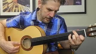 Fretless Guitar Minute #43 | Altamira N300+ Flamenco model fretless