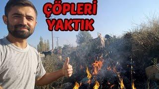 KEÇİLERLE ÇEVRE TEMİZLİĞİ !!! Halep Keçisi | Süt Keçisi Yetiştiriciliği