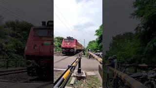 Red Monster Wap4 Skip Railgate #shorts