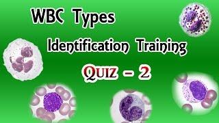 WBC Identification Training Quiz ( Part 2/3 )