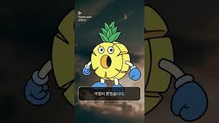 팡팡이의 아침편