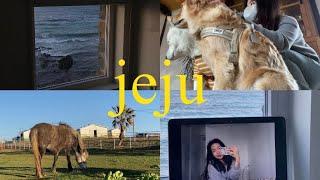 first jeju solo trip 