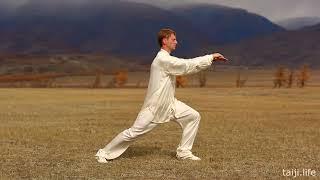 Tai Chi 24 forms Sergey Sukhovey