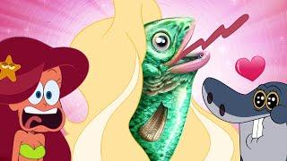 Zig & Sharko | THE SIRENS (S03E30) New Episodes in HD