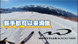 Blackcomb 山新手保姆级攻略！山顶最美观光道预览！