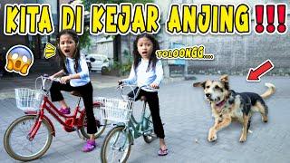 TOLONG ALUNA DAN AMANDA DIKEJAR ANJING GALAK!!