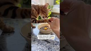 Healthy kibble toppers for cats #cat #felinenutrition #rawfedcat #catlover #catnutrition #kibble