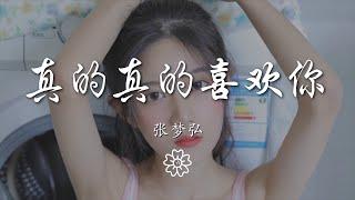 張夢弘 - 真的真的喜歡你『我真的真的喜歡有你陪在我身旁』【動態歌詞Lyrics】