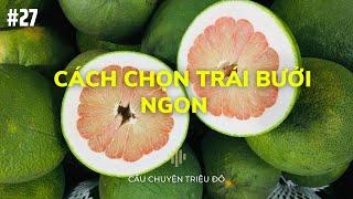 Cách chọn một trái bưởi chín ngon như thế nào ? |Câu Chuyện Triệu Đô - Podcast #27