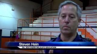 Birds of prey bring community awareness