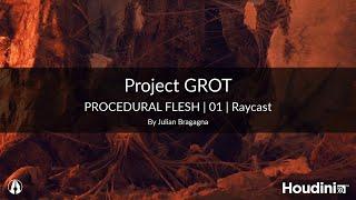 Project GROT Procedural Flesh | 01 | Raycast