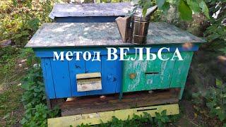 метод ВЕЛЬСА