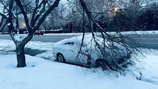  NO COMETAS estos ERRORES EN EL INVIERNO 