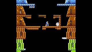 NES Longplay [250] Ice Climber