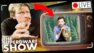 Super Dwarf Reticulated Pythons: The BEST Pet Reptile?