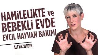 Hamilelikte ve Bebekli Evde Evcil Hayvan Bakımı