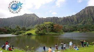 Hawaii Highlights: Ho'omaluhia Botanical Garden