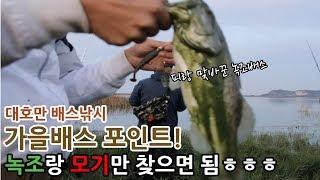 [아트배스] 배스가 있는 포인트를 찾았는데..;; 적이 너무 많다...