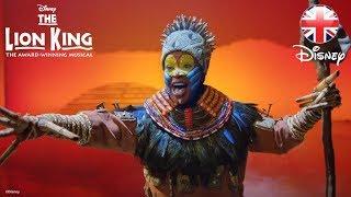 THE LION KING MUSICAL | NEW Trailer! 2018 | Official Disney UK