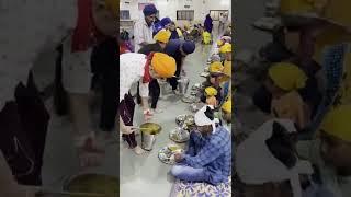 Indian gurudwara langar  waheguru #shorts #food