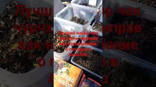 #трудовые #аквалоо знакомства с рынком АкваЛоо