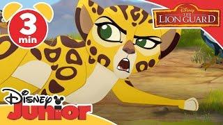 Magical Moments | The Lion Guard: Fuli Needs Rescuing | Disney Junior UK