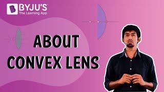 Convex Lens Explained