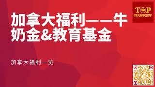 儿童在加拿大享受的福利——牛奶金 & 教育基金