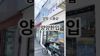 양양 새로 발견한 귀엽고‍️ 아기자기한 소품샵 양양한입 구경해봐요! #양양 #양양여행 #소품 #소품샵 #소품샵투어 #간식 #디저트 #캐릭터 #기념품 #북극곰