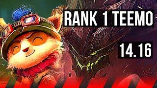 TEEMO vs MALPHITE (TOP) | Rank 1 Teemo, 2200+ games | NA Challenger | 14.16