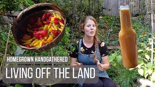 Living off Homegrown Food (Making Hot Sauce)