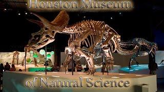 Houston Museum of Natural Science