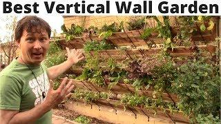 Best Vertical Wall Garden You Can Assemble without Tools