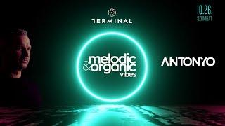 ANTONYO LIVE MIX @TERMINAL CLUB MELODIC VIBE - 2024.10.26