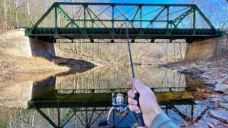 Multi Species River Fishing