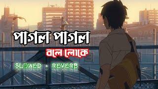 Pagol Pagol Bole Loke | পাগল পাগল বলে লোকে | [slowed and reverb] | lofi song | Bangla song |