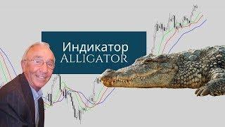 Индикатор Билла Вильямса – Alligator