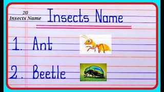 Insects Name In English | Names of Insects | 20 insect names | कीड़े मकोड़े के नाम