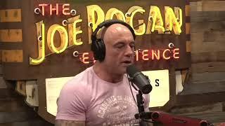 Joe Rogan Talks Stem Cells and CPI in Tijuana on JRE #2135 with Neal Brennan