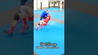 Foot Sweep #sambo #judo