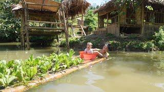 Living In The Forest For 2 Years - Single Mother Harvests & Helps Wandering Boy