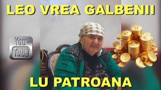 LEO DE LA STREHAIA VREA GALBENII LU PATROANA